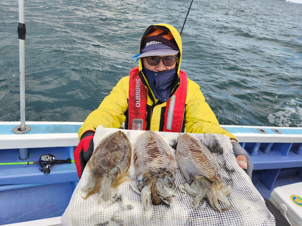 ますます大型化です！