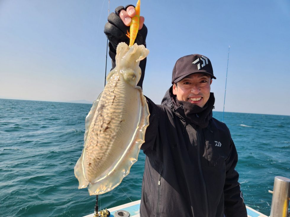 特大コウイカがチャンス！