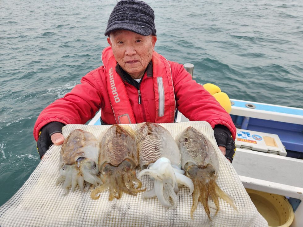 絶品コウイカですよ！