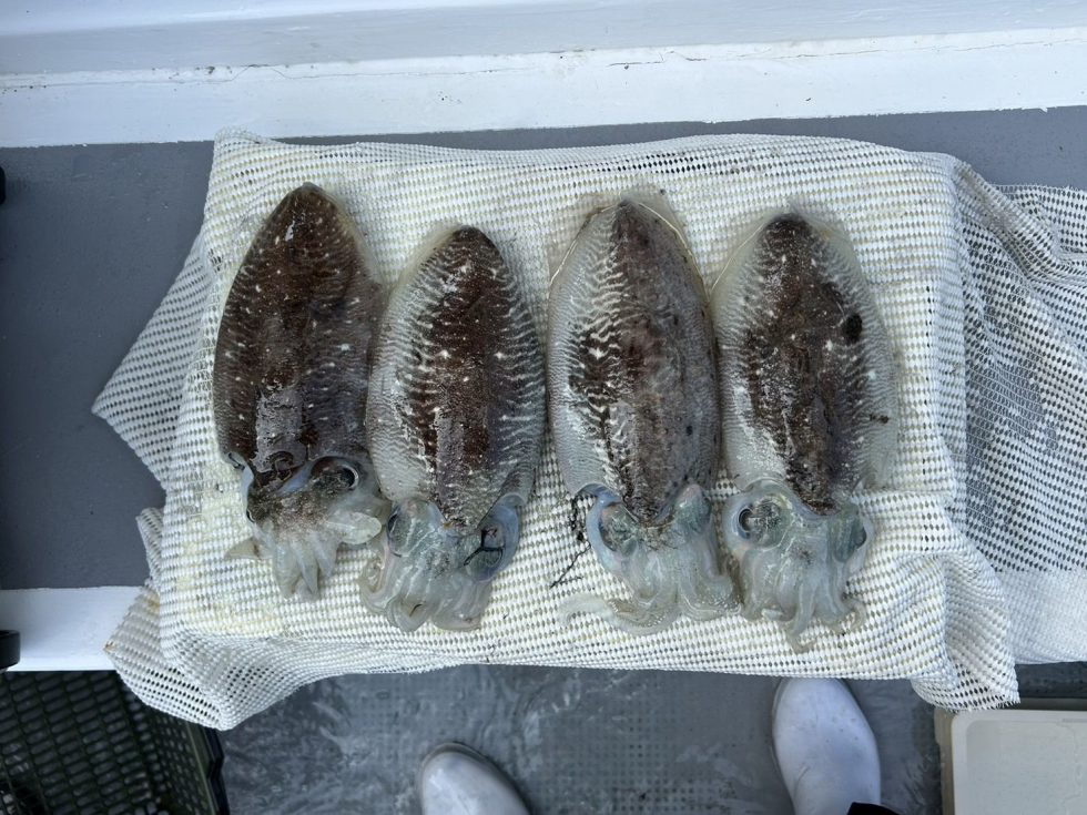 第十一、船中４４杯と爆発！