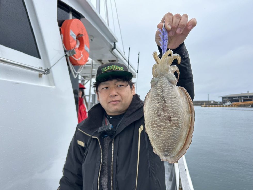 人気のコウイカ!