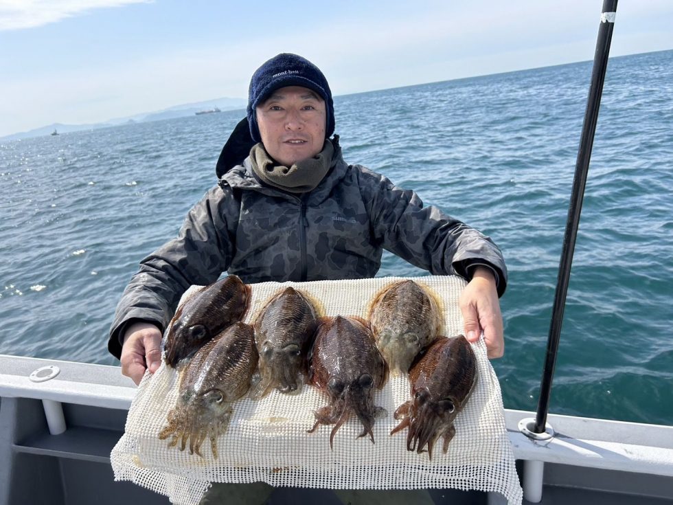 肉厚コウイカ大チャンス！