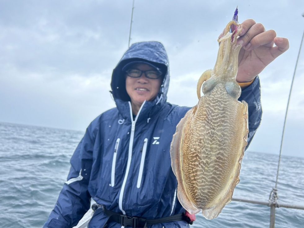 肉厚コウイカ大チャンス到来中！