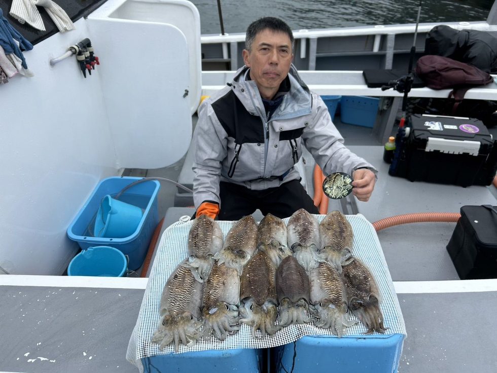 肉厚コウイカ連日爆発中！