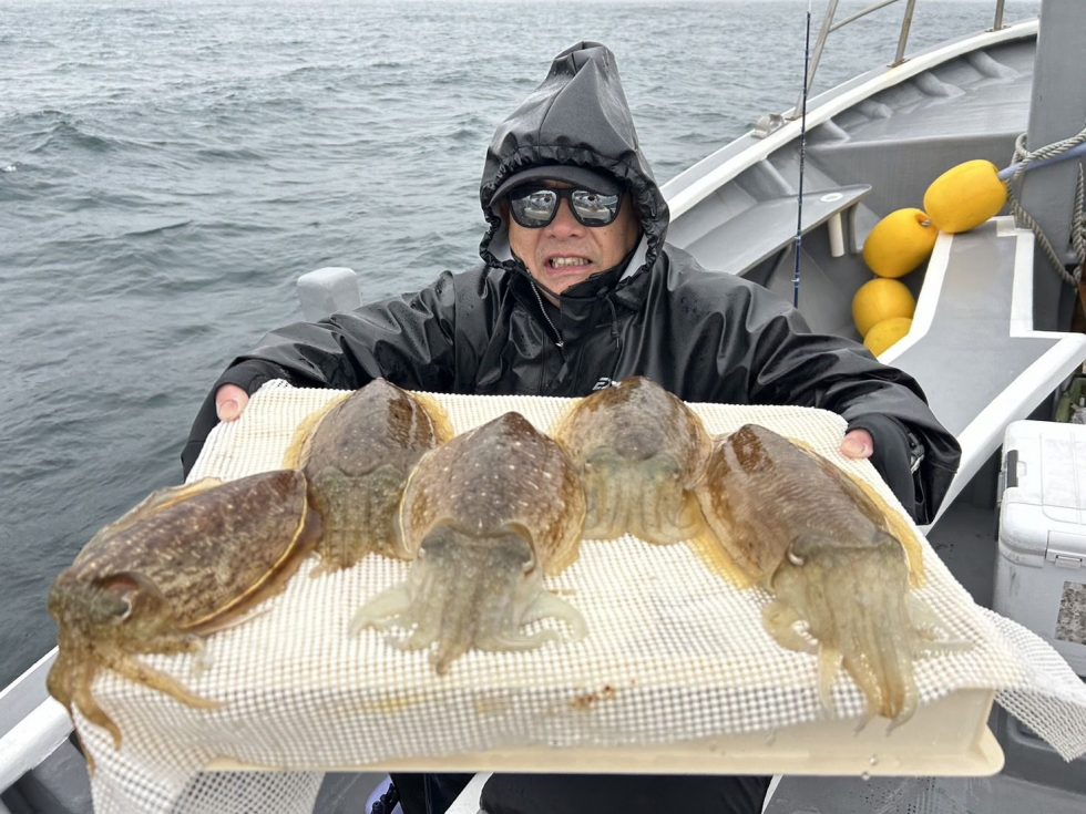 明日からも楽しみです！