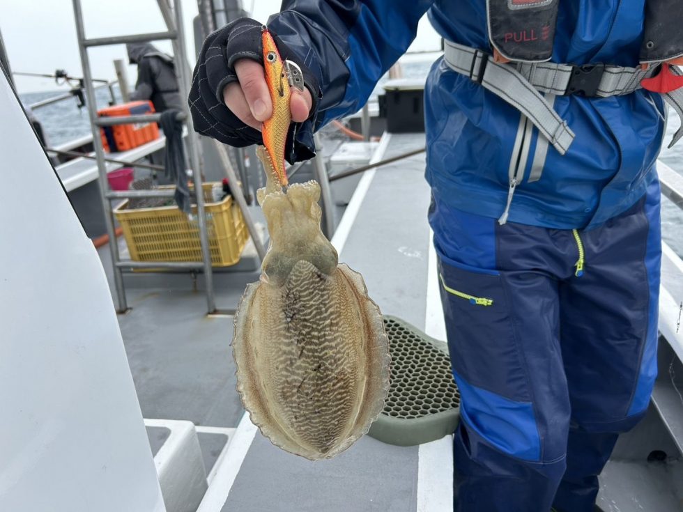 明日も出船確定しました！かなり空き多数、是非どうぞ
