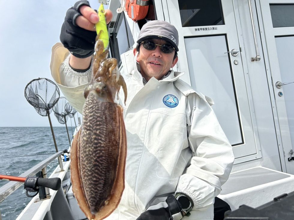 コウイカ巨大化してます!