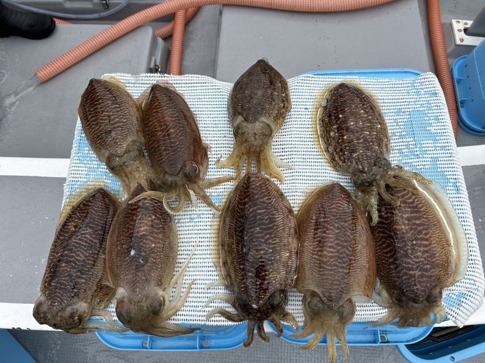 ２隻に分乗ゆったり釣行でした