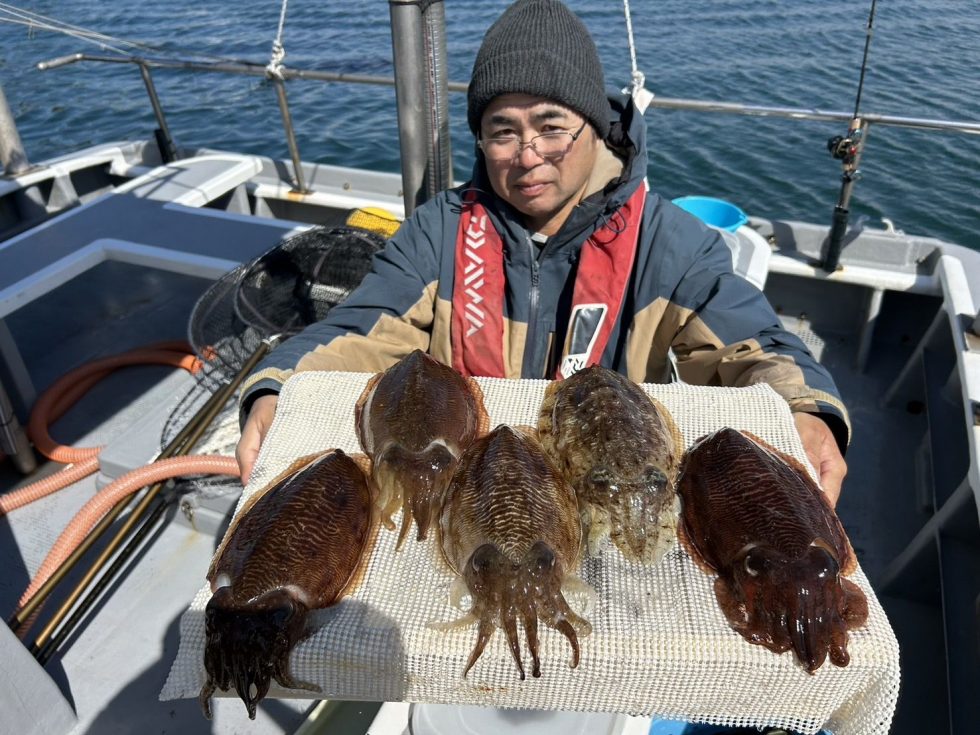 絶品コウイカ！食味最高です。
