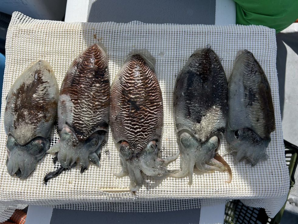 ２隻でゆったり釣行