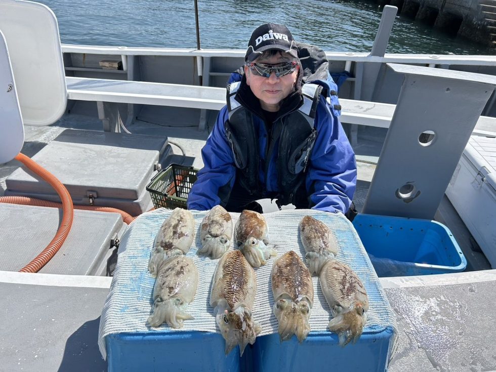 肉厚コウイカ、今がチャンス！