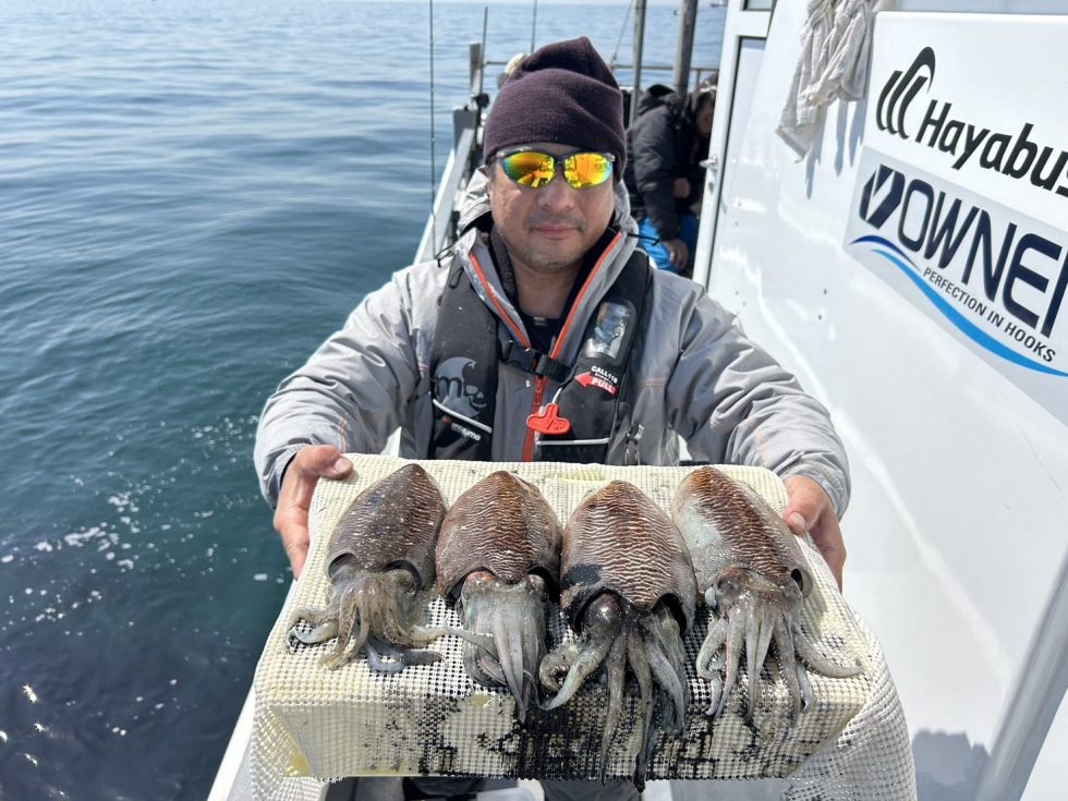 いつもありがとうございます！