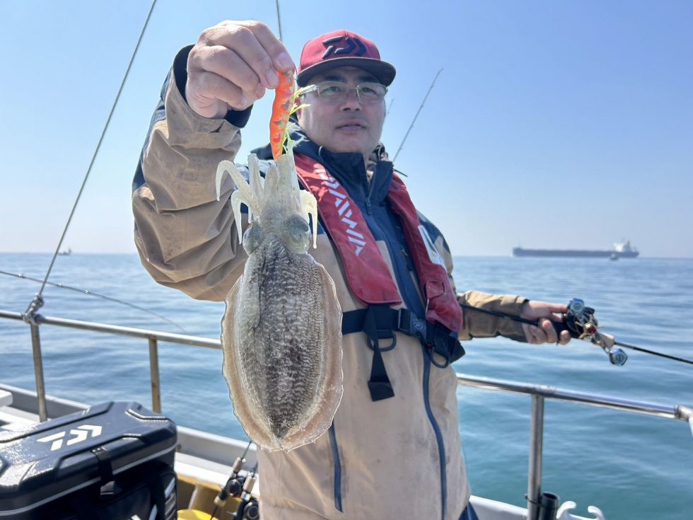 まだまだコウイカ出船します！