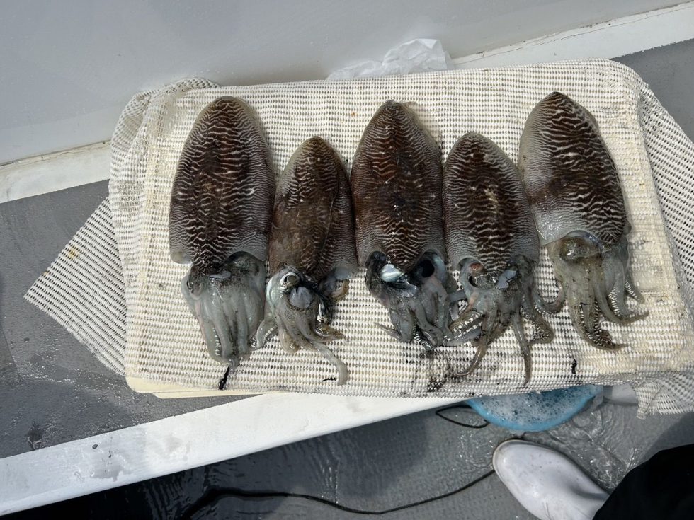 大チャンス到来中！善は急げ！