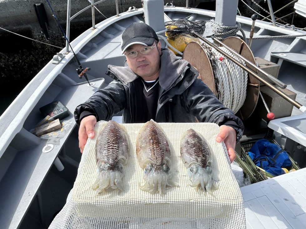 コウイカ釣りまだまだ出船確定ですよ！
