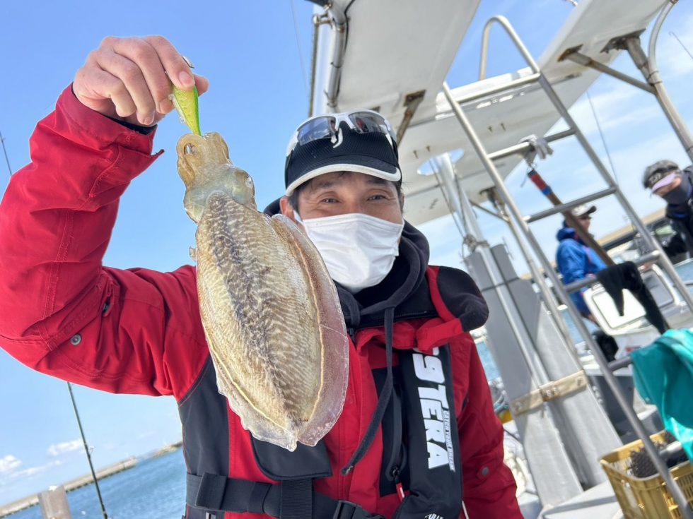 肉厚コウイカ！