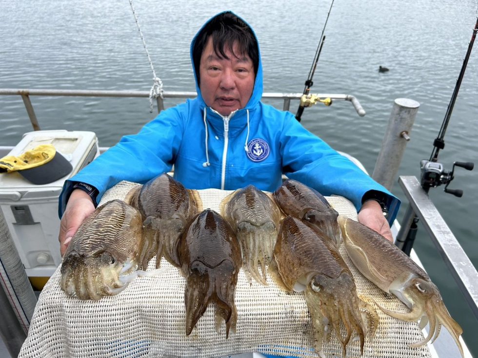 肉厚コウイカぼこぼこー