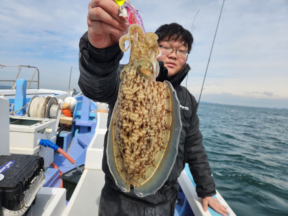 絶品コウイカリピーター続出中！