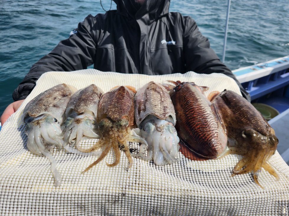 明日からも楽しみです！