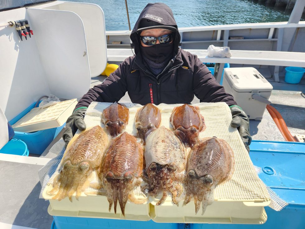 旬の肉厚コウイカ爆乗り！