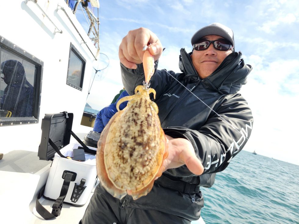 コウイカ大人気！