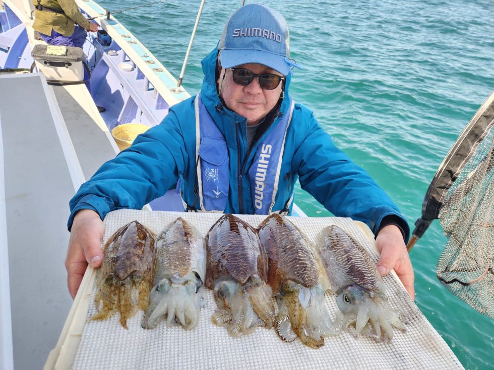 人気のコウイカ！