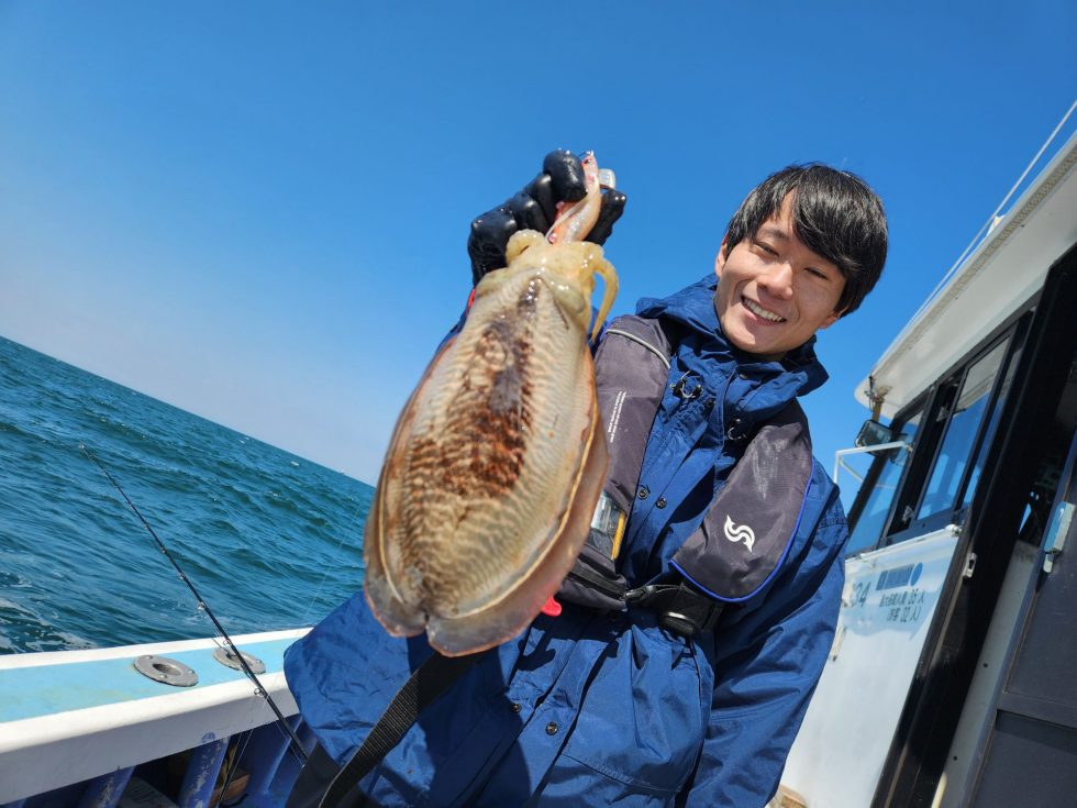 コウイカ当たり年!明日からも楽しみ!