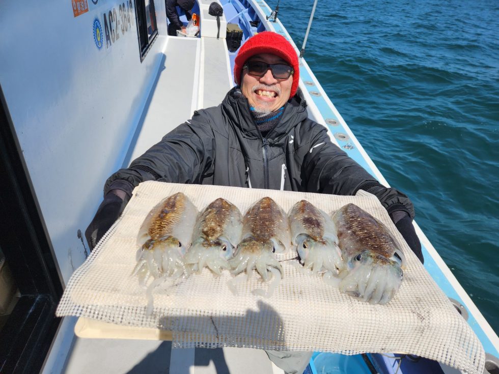 価値あるコウイカ!