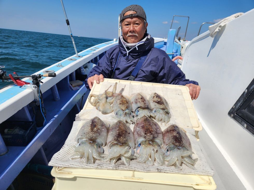 肉厚コウイカ爆発!