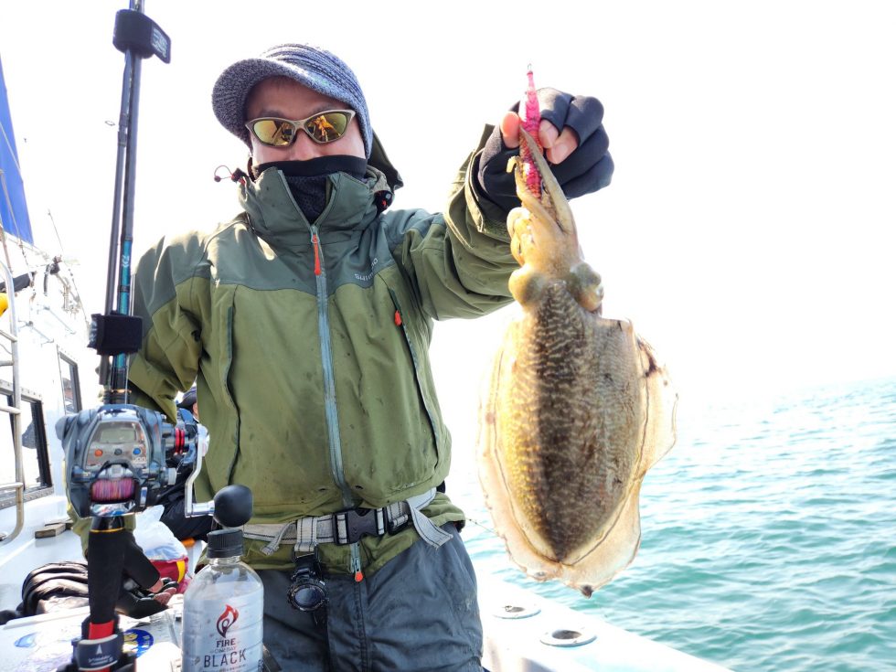 明日(土)からコウイカ釣りとイサキ釣り出船。