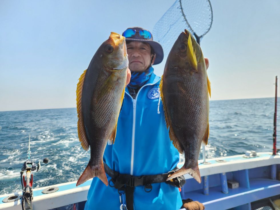 明日(日)イサキ釣り、コウイカ釣り、出船確定です！