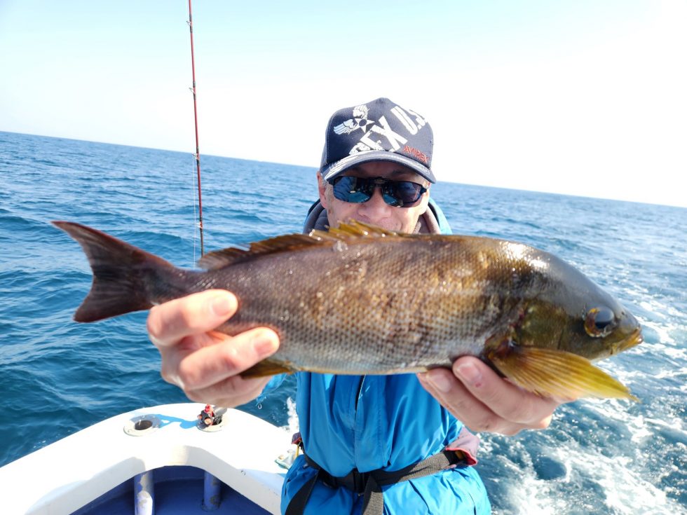 明日も出船確定です！