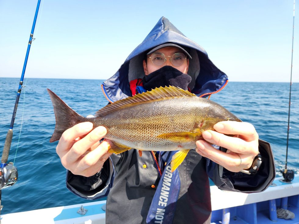 脂のりのりイサキ！厳しい１日でしたが今後人気のターゲットになります！