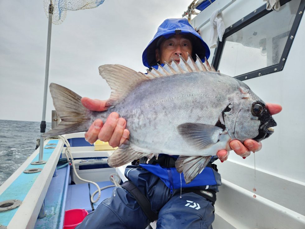 ハリス切られまくりの正体は石鯛でした。