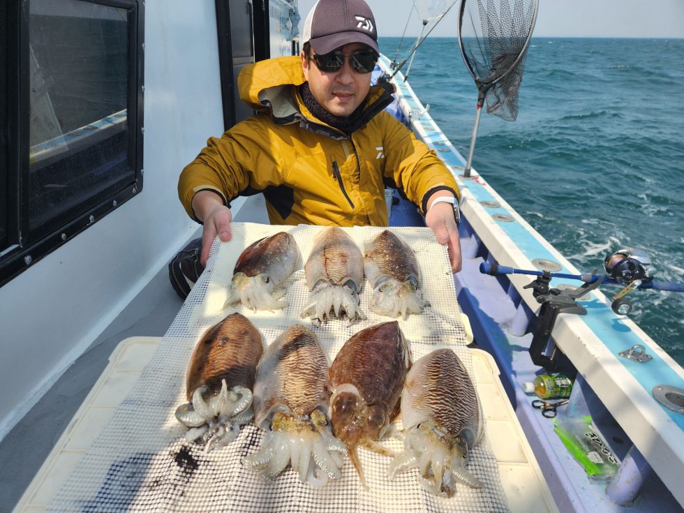 肉厚コウイカ大チャンス到来中！