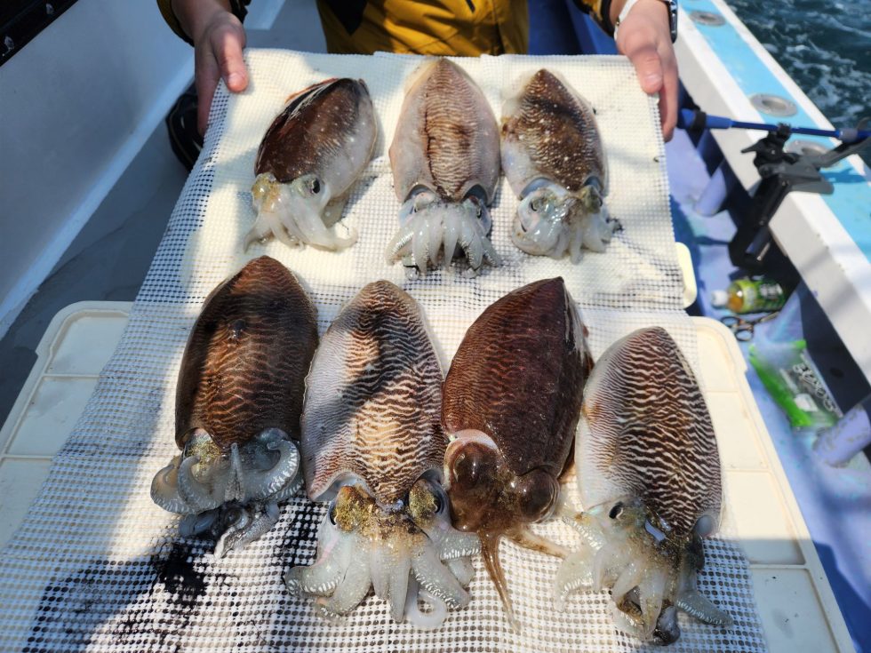 ２隻に分乗ゆったり釣行でした