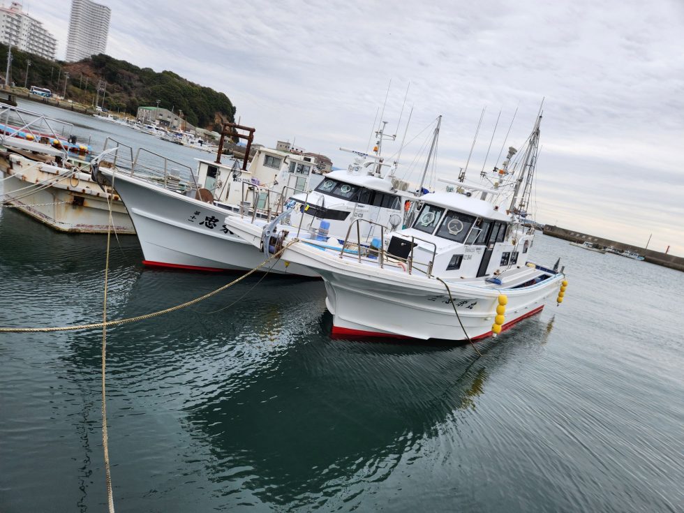 明日(日)は出船確定です。ご予約お待ちしてます