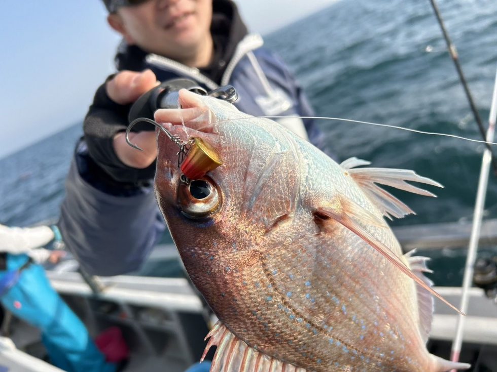 テンヤ5~15号!