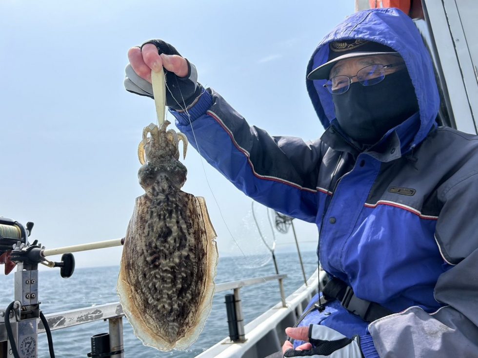 コウイカ釣り、イサキ釣り、予約受付中！