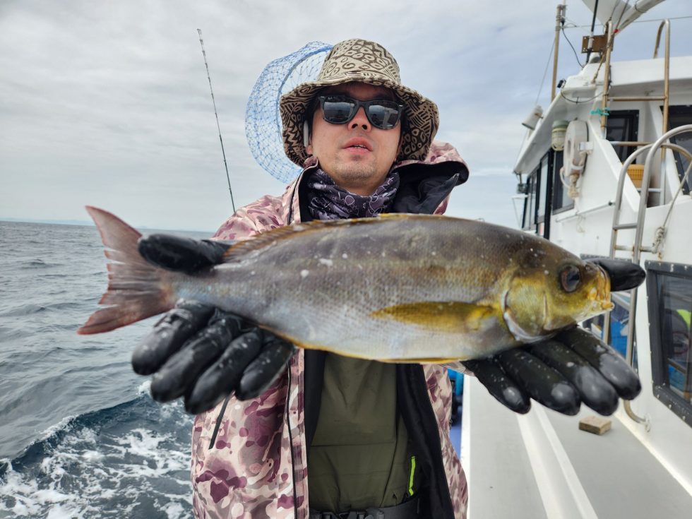 価値あるイサキ！