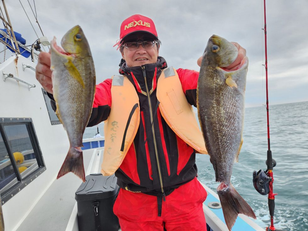 脂のりのり絶品イサキ！