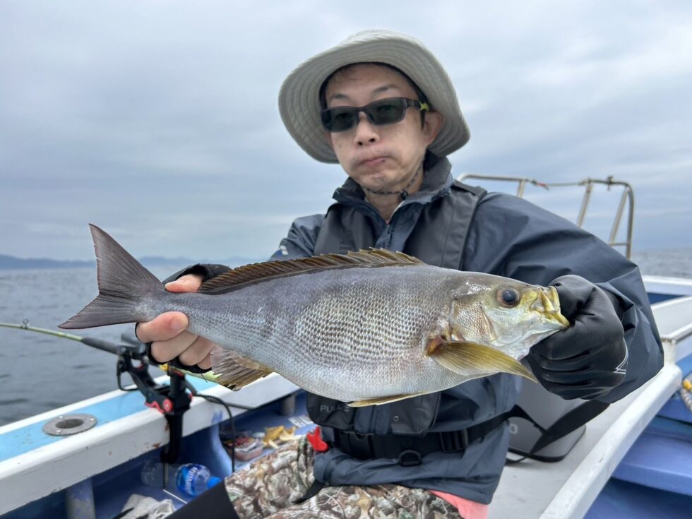 40㎝超え