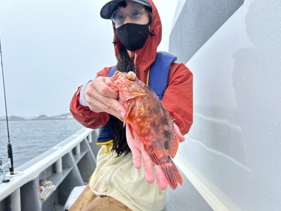 大山沖ジャンボイサキ、伊勢湾一つテンヤ、予約受付中!
