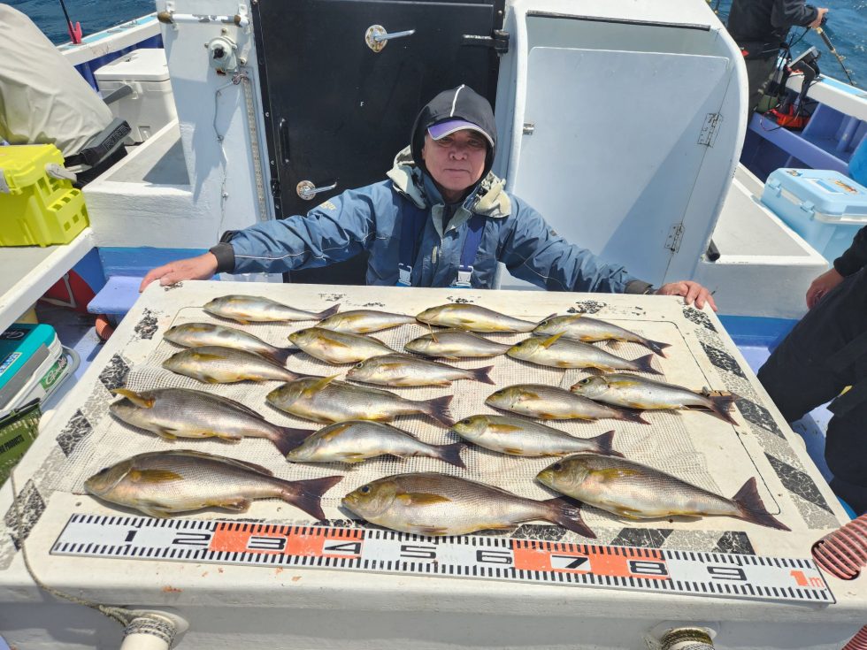 価値あるイサキ!