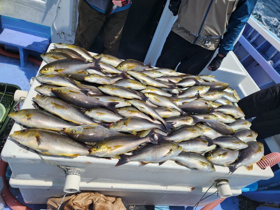 2人で66匹!お見事!