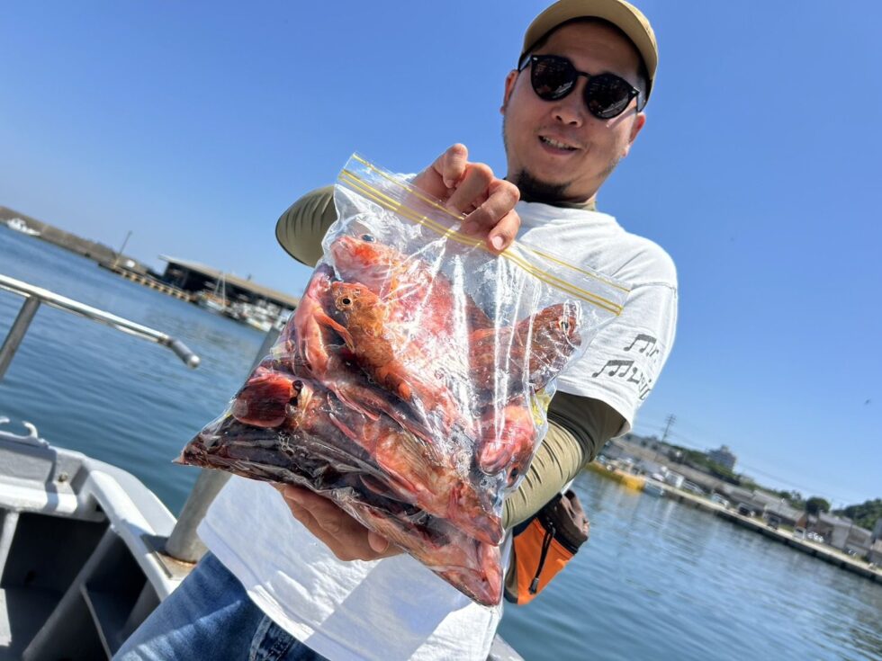 カサゴも入れ食いタイムありで、真鯛、カサゴで爆釣ー