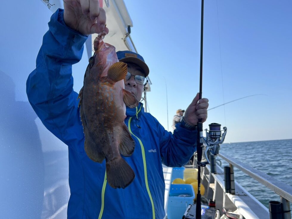 高級魚キジハタも!