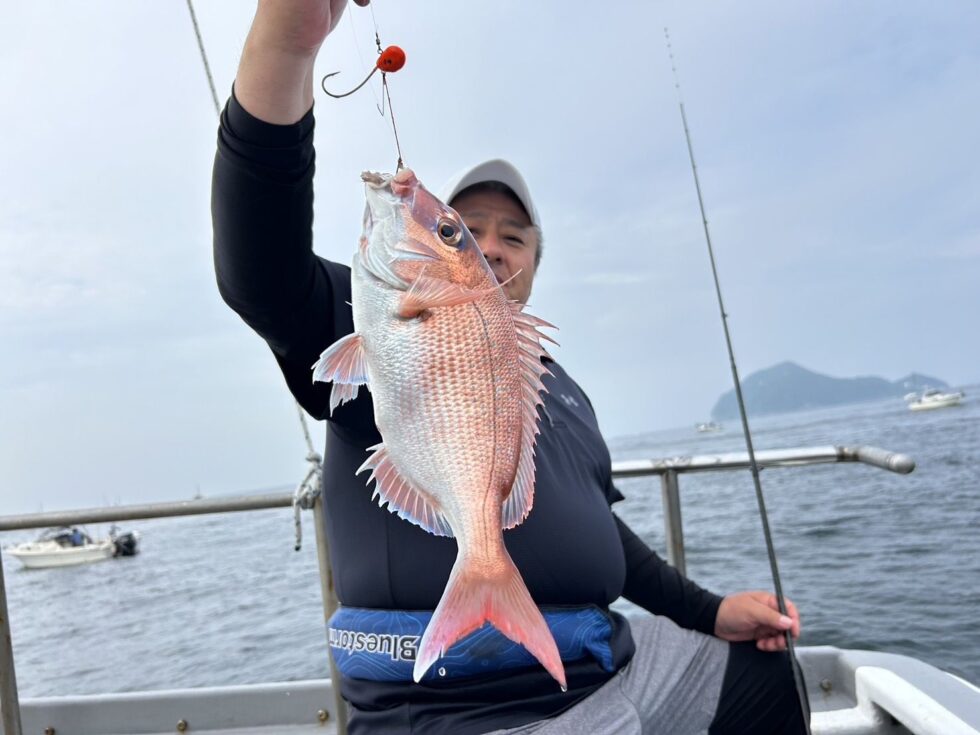 名人さん今日も真鯛釣りまくり!
