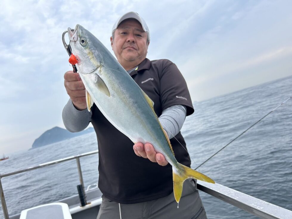 青物も!