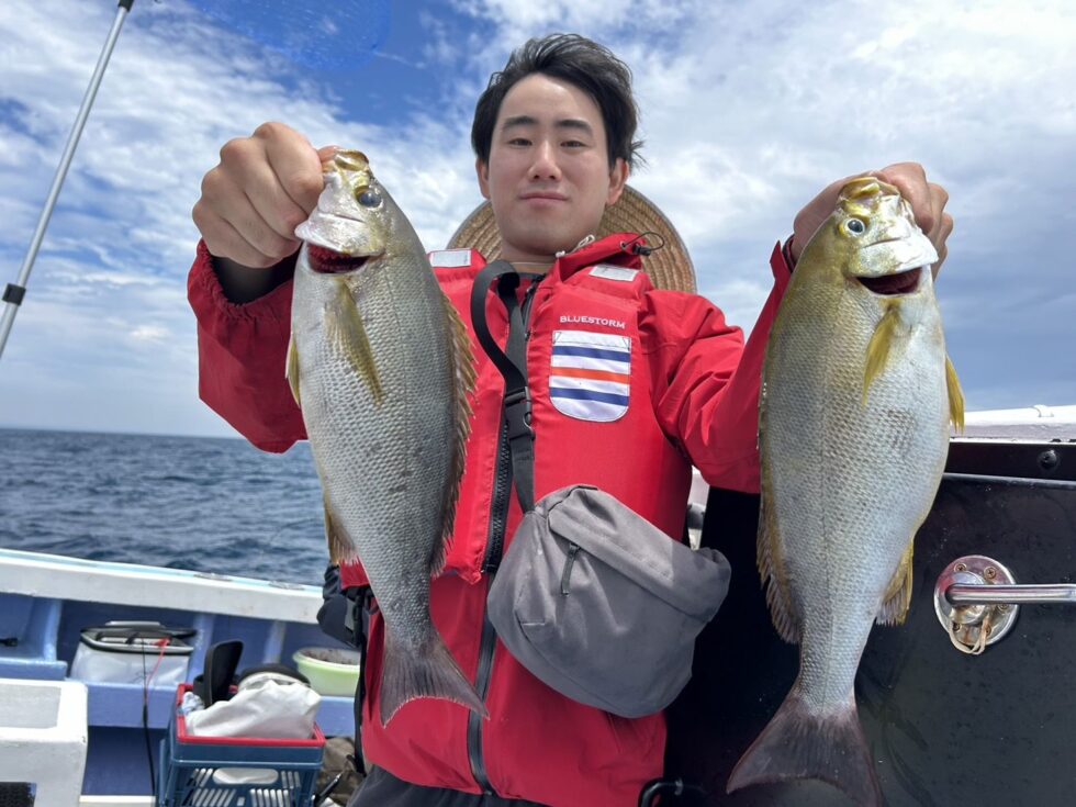 デカイ!